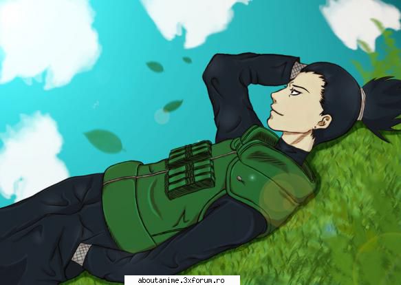 shika`!:x poze