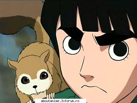 Poze - PнσєηιχX Gιяℓ - Rock Lee